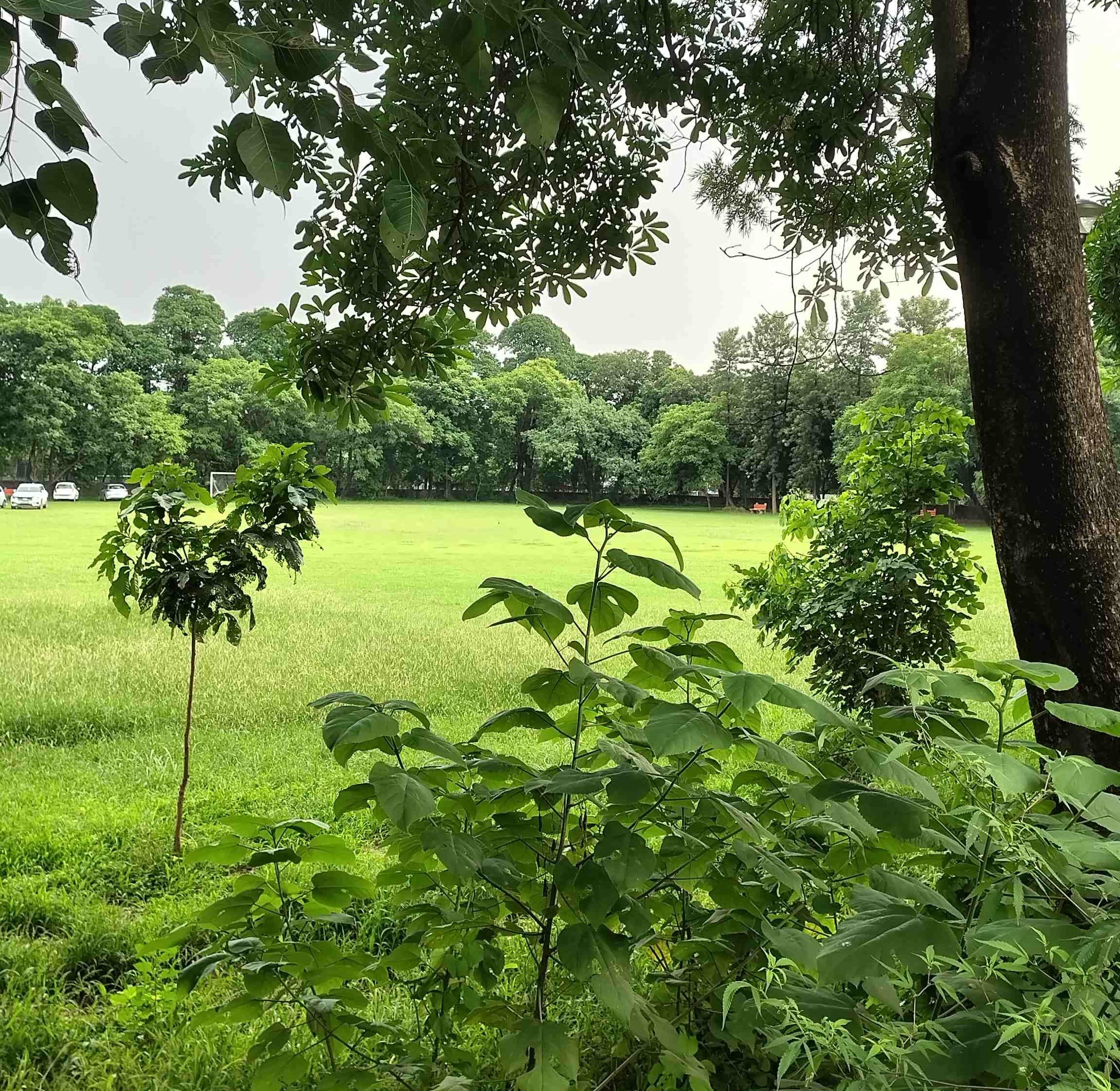 PEC Chandigarh Campus photo 5